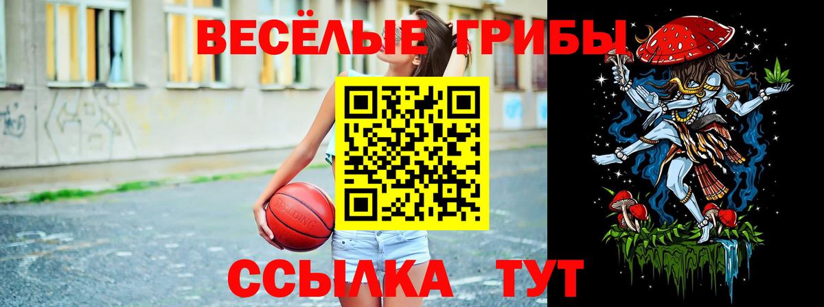 Оренбург  Галлюциногенные грибы мицелий  Вход с VPN 
